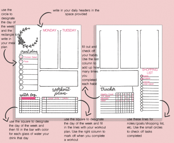 Awesome Free Bullet Journal Weekly Spread Printable ⋆ The Petite Planner