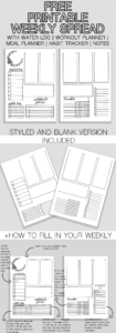 Awesome Free Bullet Journal Weekly Spread Printable ⋆ The Petite Planner