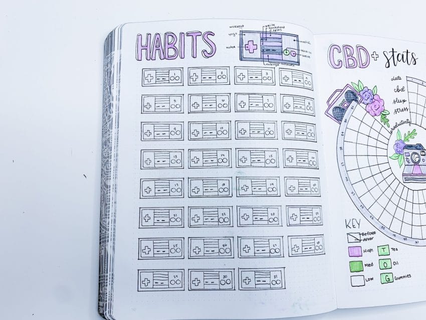 May 2019 Bullet Journal Setup + Doodle Tutorial ⋆ The Petite Planner