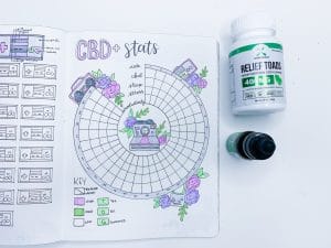 May 2019 Bullet Journal Setup + Doodle Tutorial ⋆ The Petite Planner