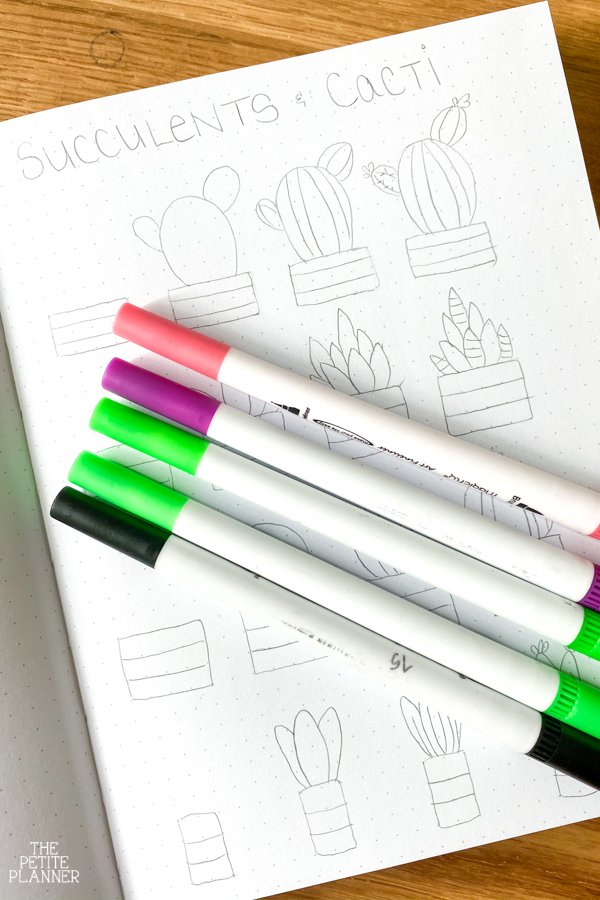 Magicfly Brush Markers on top of cute succulents doodle tutorial notebook