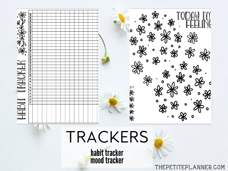 Small images of the pages included in the July Bullet Journal Theme using daisy doodles theme