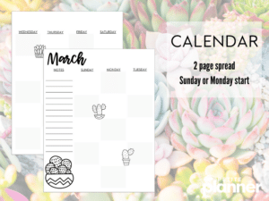 March Printable Bullet Journal (Succulents!) - Make Setup Easy!
