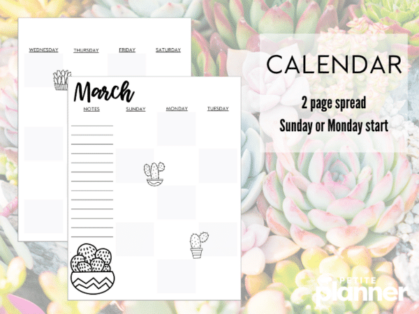 March Printable Bullet Journal (Succulents!) - Make Setup Easy!