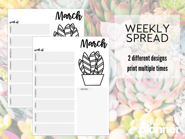 March Printable Bullet Journal (Succulents!) - Make Setup Easy!