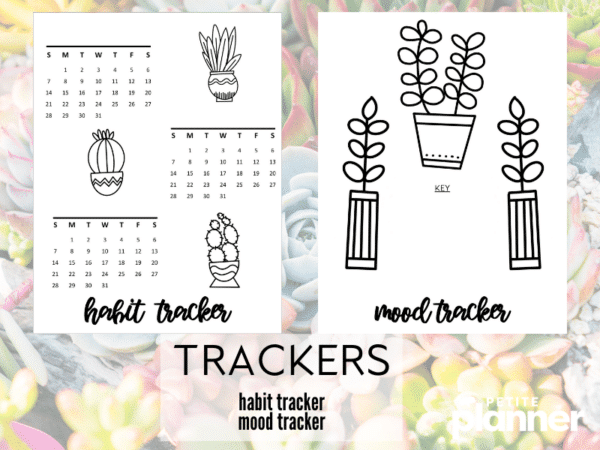 March Printable Bullet Journal (Succulents!) - Make Setup Easy!