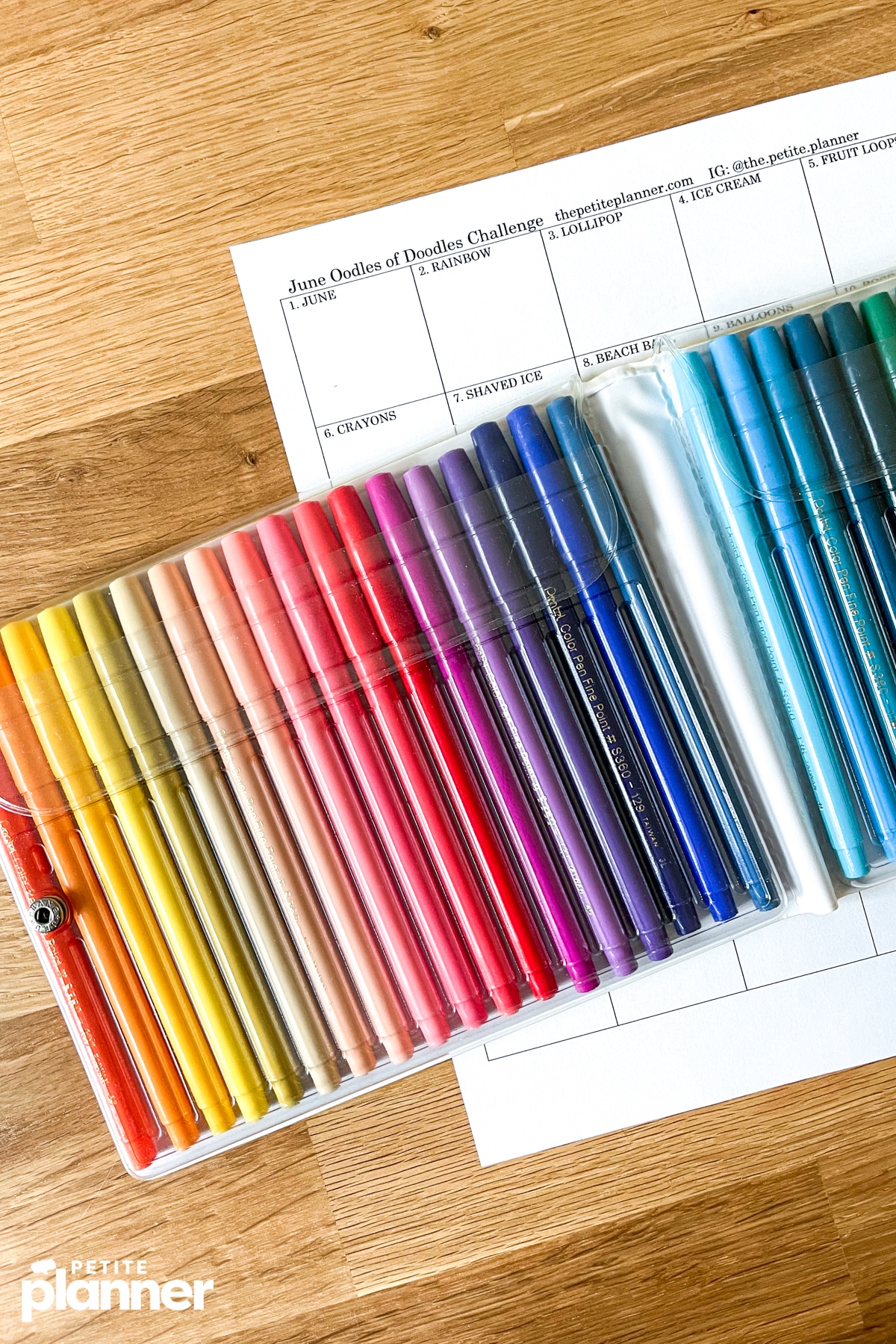 Pentel Color Pens in case